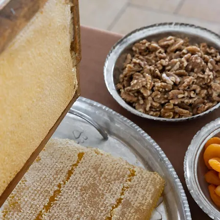 Отель Armada Old 4*